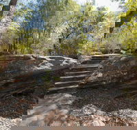 Mooney Mooney nature walk - Accommodation Gold Coast