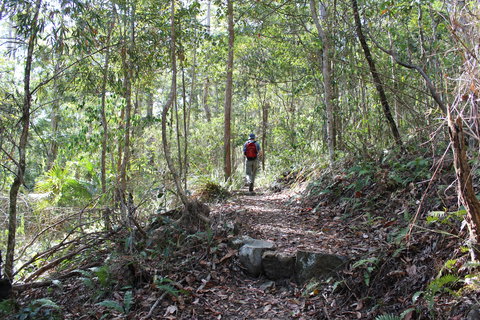 Morelia Walking Track, D'Aguilar National Park - Accommodation Gold Coast 1