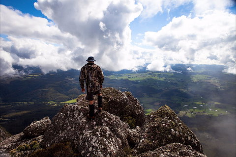 Mount Roland - Accommodation Gold Coast 2