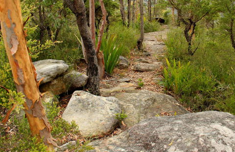 Mount Olive Trail - Accommodation Gold Coast 0