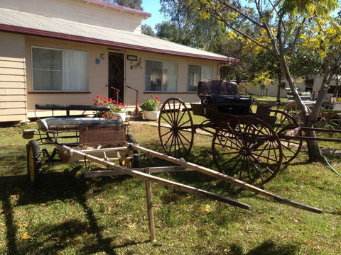 Mr And Mrs Behan Sulky Display - Accommodation Gold Coast 0