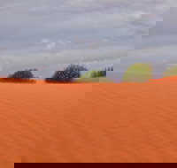 Munga-Thirri - Simpson Desert Conservation Park and Regional Reserve - 1 Gold Coast