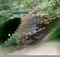 Mushroom Tunnel - Accommodation Gold Coast