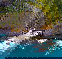 Newland Head Conservation Park - Accommodation Gold Coast