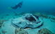 Nine Mile Reef Dive Site - thumb 1