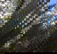 Northern Beaches - 1 Gold Coast