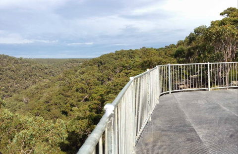 O'Hares Creek Lookout - Accommodation Gold Coast 0
