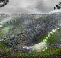 Oxley Wild Rivers National Park - Accommodation Gold Coast