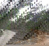 Paddys Ranges State Park - Accommodation Gold Coast