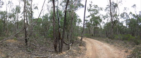 Paddys Ranges State Park - 1 Gold Coast 0