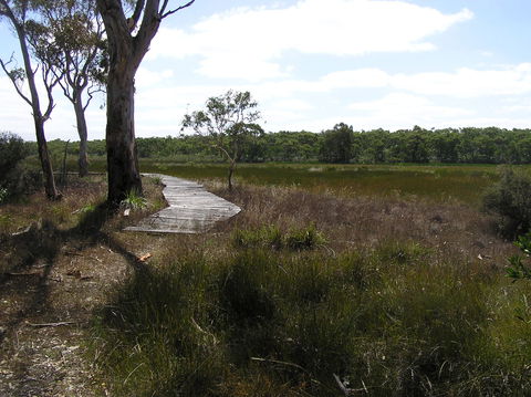Penola Conservation Park - Accommodation Gold Coast 0