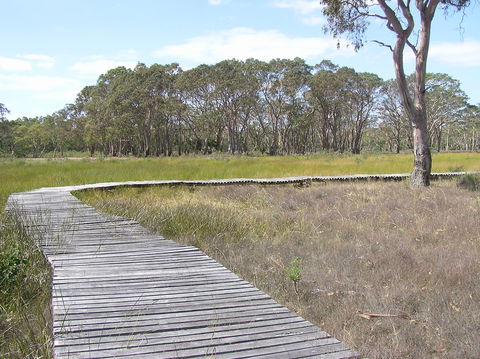 Penola Conservation Park - Accommodation Gold Coast 1