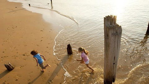 Phillip Island - Accommodation Gold Coast 0