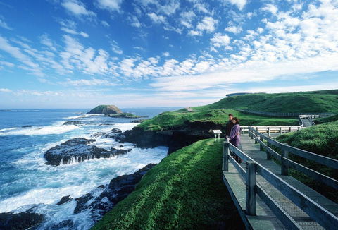 Phillip Island - Accommodation Gold Coast 1