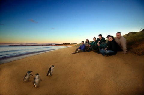 Phillip Island - Accommodation Gold Coast 2