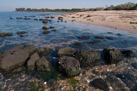 Point Cook Marine Sanctuary - Accommodation Gold Coast 0