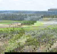 Princess Hills Girringun National Park - Accommodation Gold Coast