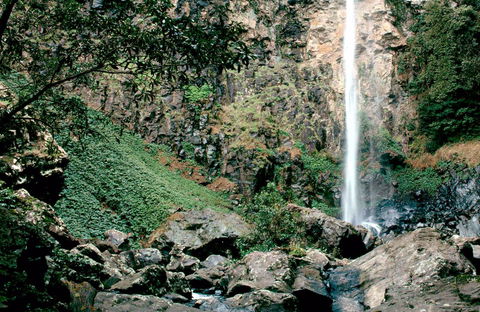 Rawson Falls Walk - Accommodation Gold Coast 0