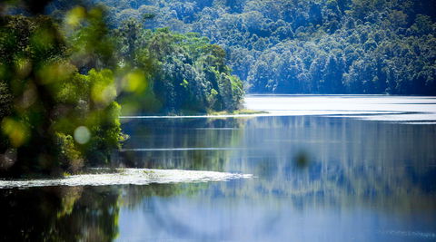 Rocky Creek Dam - Accommodation Gold Coast 0