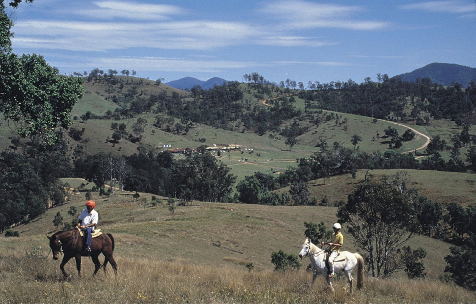 Rosebrook NSW 1 Gold Coast