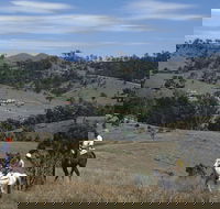 Rosebrook - Accommodation Gold Coast