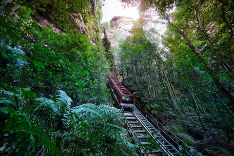 Scenic World Blue Mountains - Accommodation Gold Coast 0