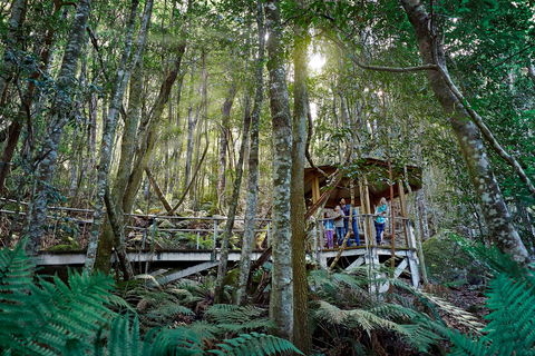 Scenic World Blue Mountains - Accommodation Gold Coast 2
