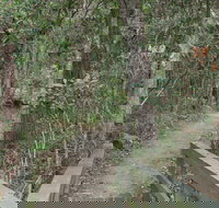 Springwood Conservation Park - 1 Gold Coast