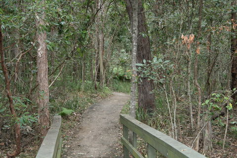 Springwood Conservation Park - Accommodation Gold Coast 0