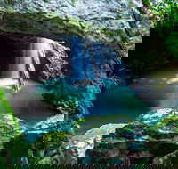 Springbrook - Accommodation Gold Coast