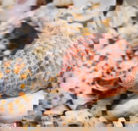 Stokes National Park - Accommodation Gold Coast