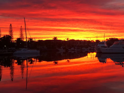 Straddievarious Gallery - 1 Gold Coast 1