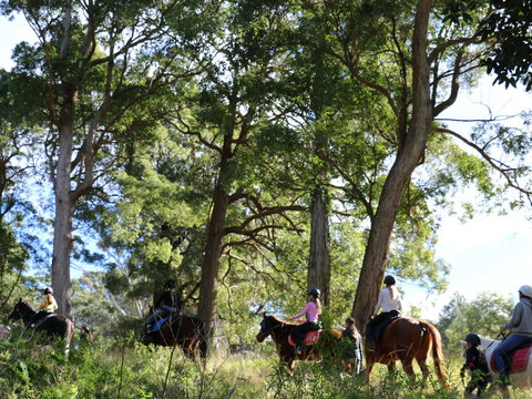 The Outlook Riding Academy - 1 Gold Coast 0