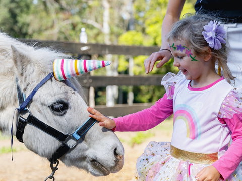 The Outlook Riding Academy - 1 Gold Coast 1