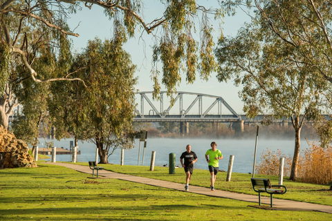 The Bunyip - (Mulyawonk) - Gold Coast 4U 1