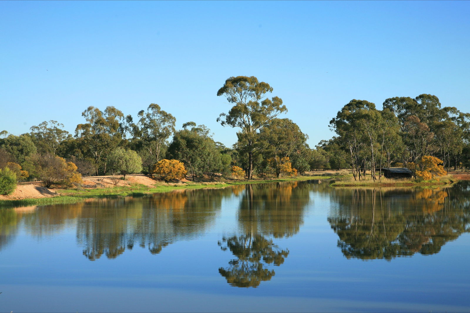 The Gums QLD Accommodation Gold Coast