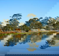 The Gums - Accommodation Gold Coast
