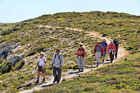 The Sole Walk At Hillocks Drive - 1 Gold Coast 0