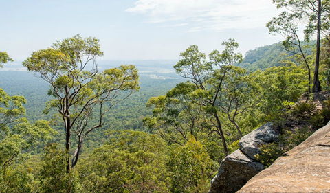The Narrow Place Lookout - Accommodation Gold Coast 0