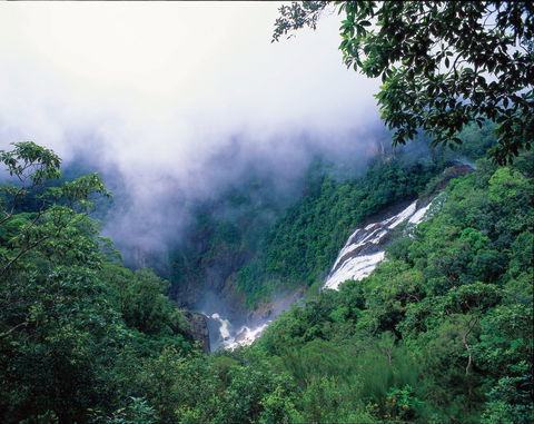 Tully Falls And Tully Gorge - Accommodation Gold Coast 0