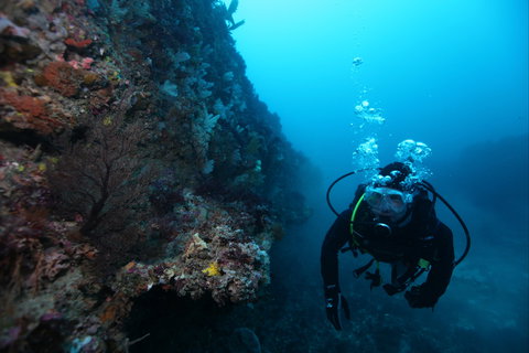 Twelve Apostles Marine National Park - 1 Gold Coast 0