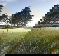 Twin Creeks Golf and Country Club - Accommodation Gold Coast