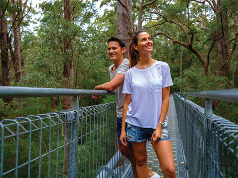 Valley Of The Giants Tree Top Walk - Accommodation Gold Coast 0