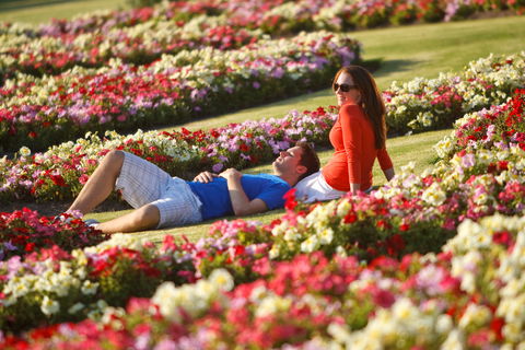 Victoria State Rose Garden At Werribee Park - Accommodation Gold Coast 1