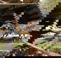 Walcha Open Air Gallery - Accommodation Gold Coast