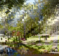 Wangaratta's Significant Trees Walks - 1 Gold Coast