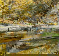 Warrabah National Park - Accommodation Gold Coast