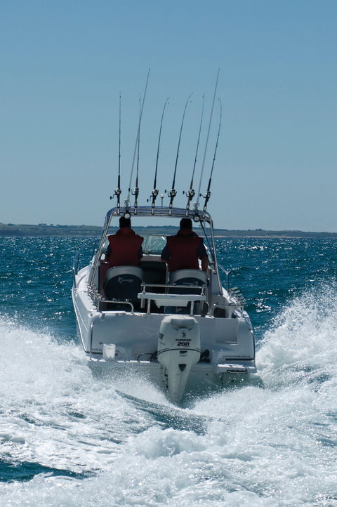 Western Port - Accommodation Gold Coast 1