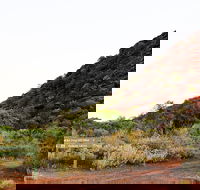 Whyalla Conservation Park - Accommodation Gold Coast