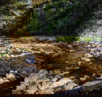 Wilson River picnic area - 1 Gold Coast